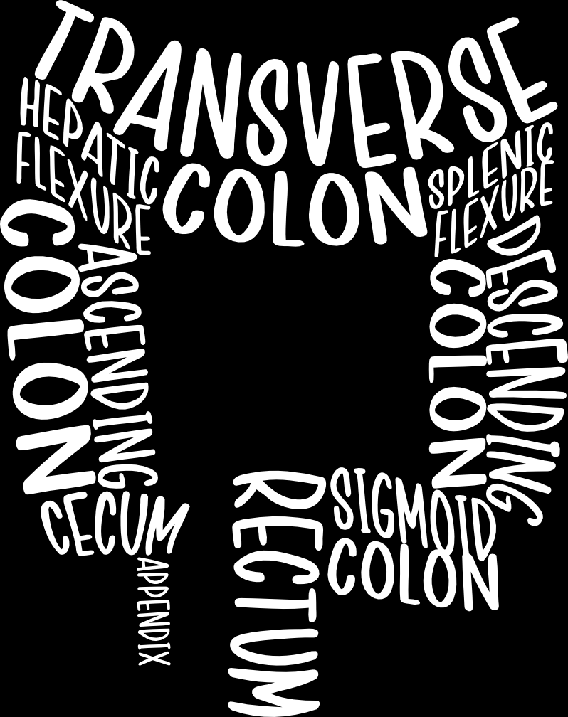 Colon Anatomy White T-Shirt